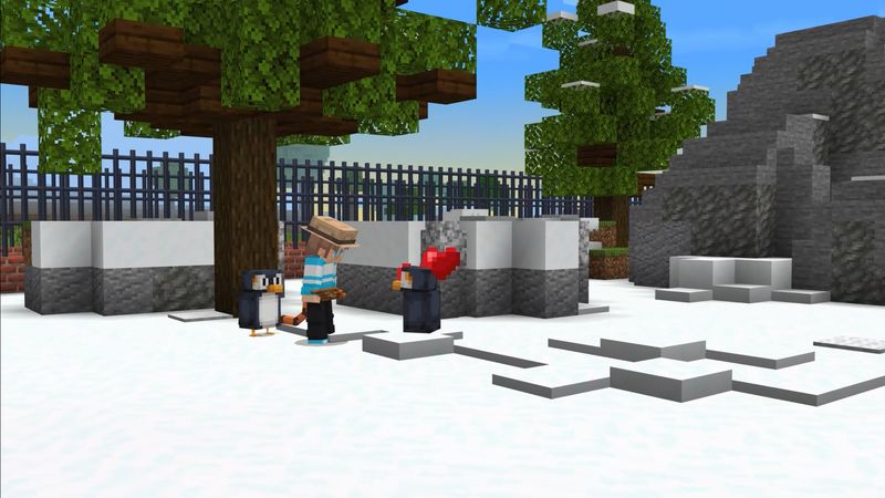 Imagen 8