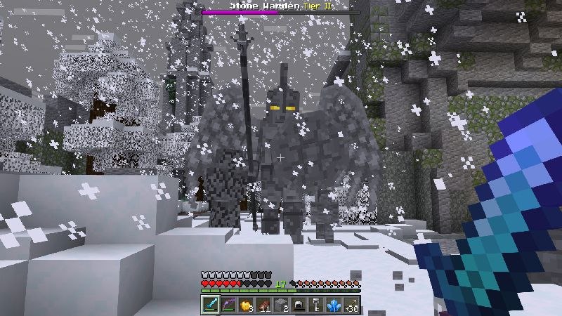 Imagen 9