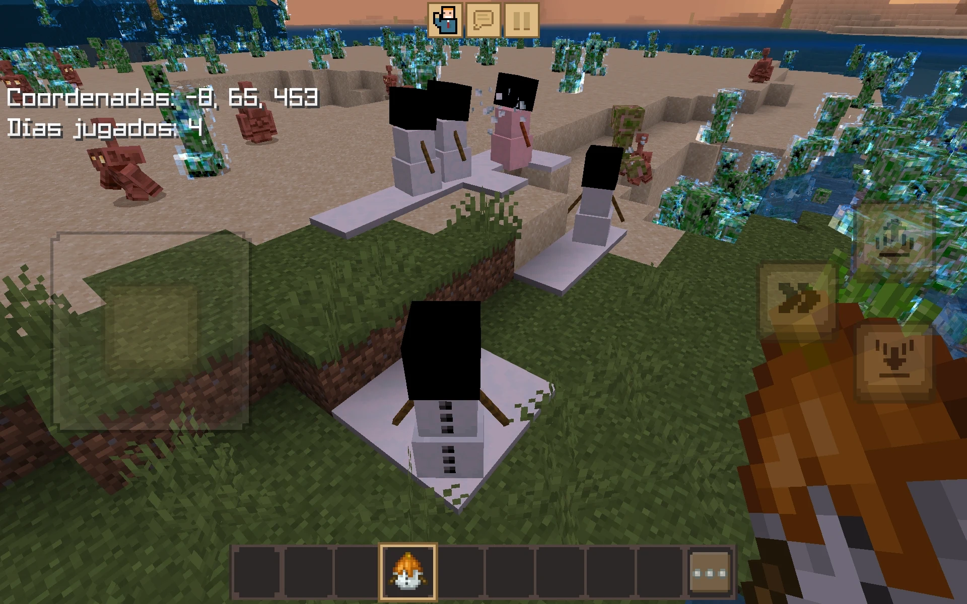 Imagen 9